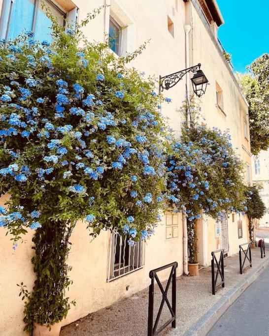 "Appart Aux Fleurs Bleus" Arles Fondation Van Gogh Dış mekan fotoğraf